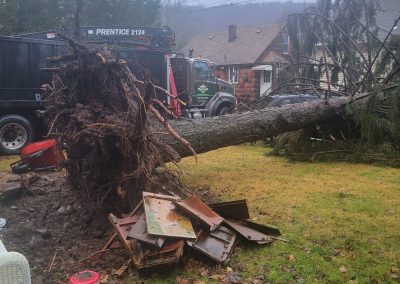 Hillview Tree Service in Naugatuck, CT