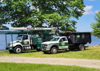 Hillview Tree Service in Naugatuck, CT