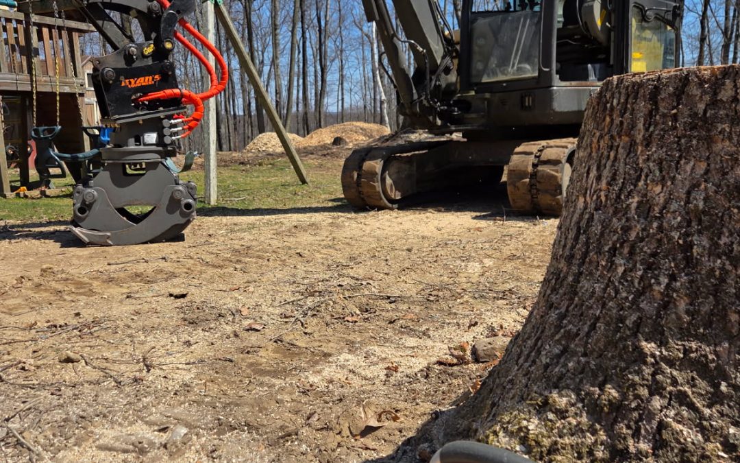 Large Tree Removal Services Contractor in Watertown, CT