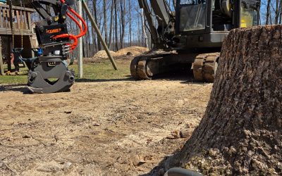 Large Tree Removal Services Contractor in Watertown, CT
