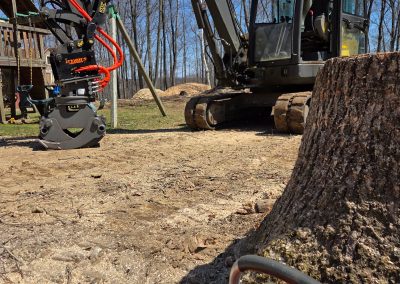 Hillview Tree Service in Naugatuck, CT