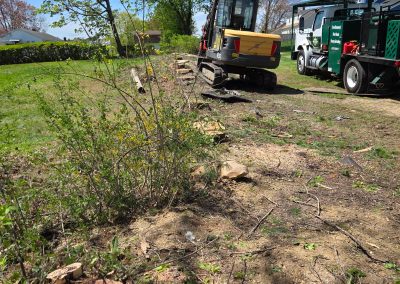Hillview Tree Service in Naugatuck, CT