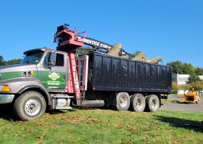 Hillview Tree Service in Naugatuck, CT