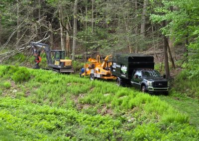 Hillview Tree Service in Naugatuck, CT