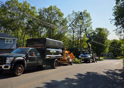Hillview Tree Service in Naugatuck, CT