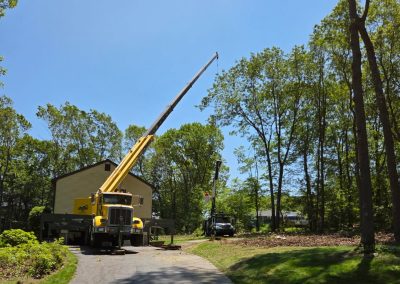 Hillview Tree Service in Naugatuck, CT