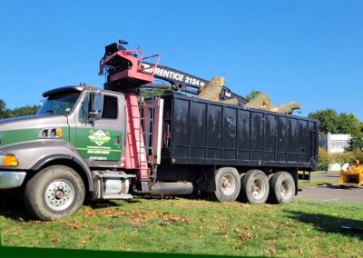 Hillview Tree Service in Naugatuck, CT