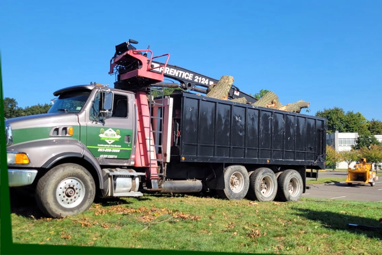 Hillview Tree Service in Naugatuck, CT