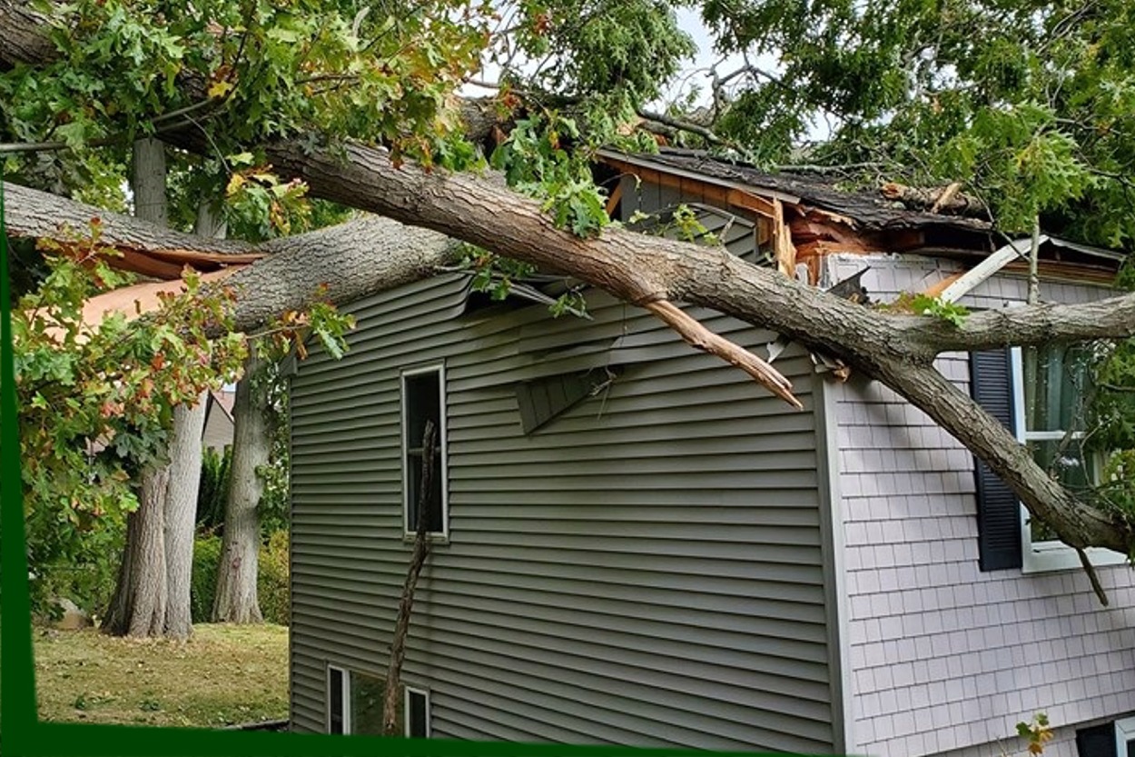 Emergency Storm Damage Tree Removal